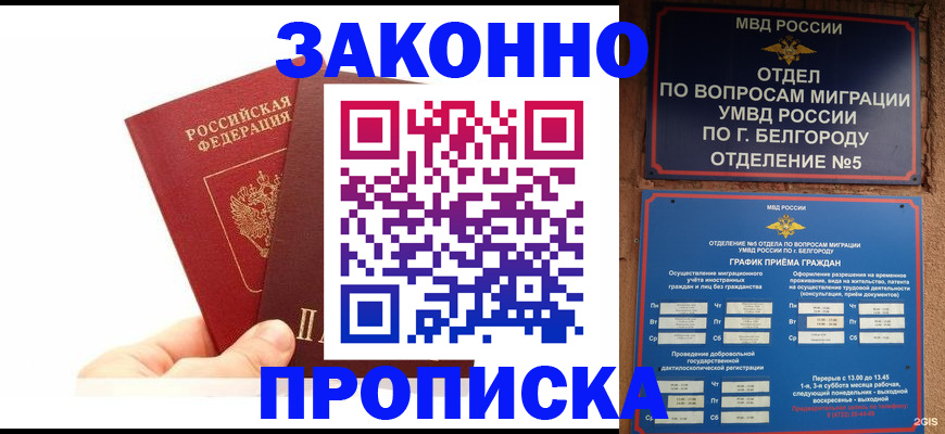 временная регистрация для школы в Михайлове